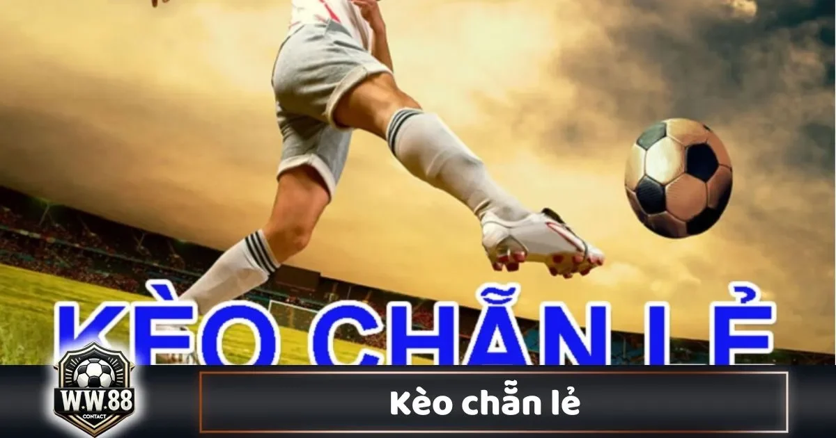 Kèo Chẵn Lẻ Là Gì? Cách Đọc Kèo & Cách Chơi Tại WW88 2 Tại Sao Kèo Chẵn Lẻ Được Nhiều Người Chơi Yêu Thích?