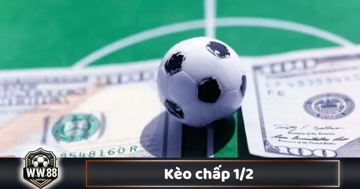 Kèo Chấp 1/2 Là Gì? Cách Cá Cược & Đọc Kèo Tại WW88 2 Sự Khác Biệt Giữa Kèo Chấp 1/2 & Kèo Chấp 0.5